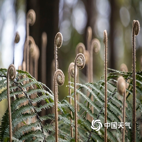 穆帅:最后20分钟很狼狈 但最重要的事是我们赢了“星空·综合体育”(图4) 星空综合