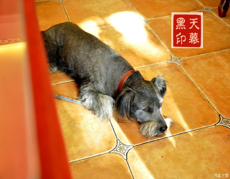 紧抓校园安全工作 全力营造良好氛围_星空综合(图2) 星空综合