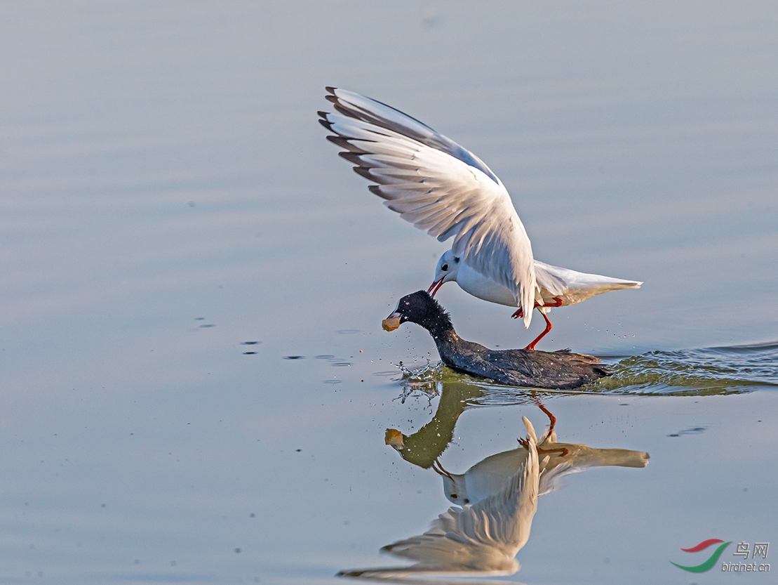 应急管理部进一步部署防汛救援工作_星空·综合体育(图1) 星空·综合体育