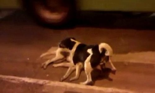 星空·综合体育