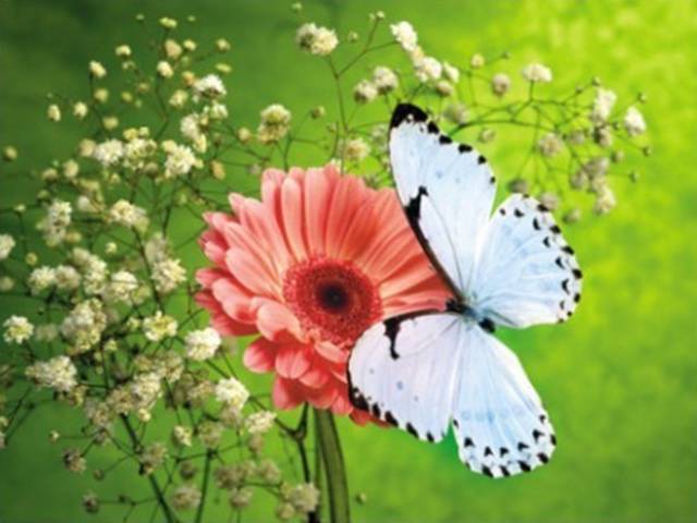 星空·综合体育